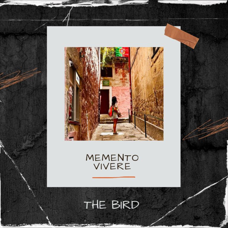 Cape Town singer songwriter The Bird releases “Memento Vivere”